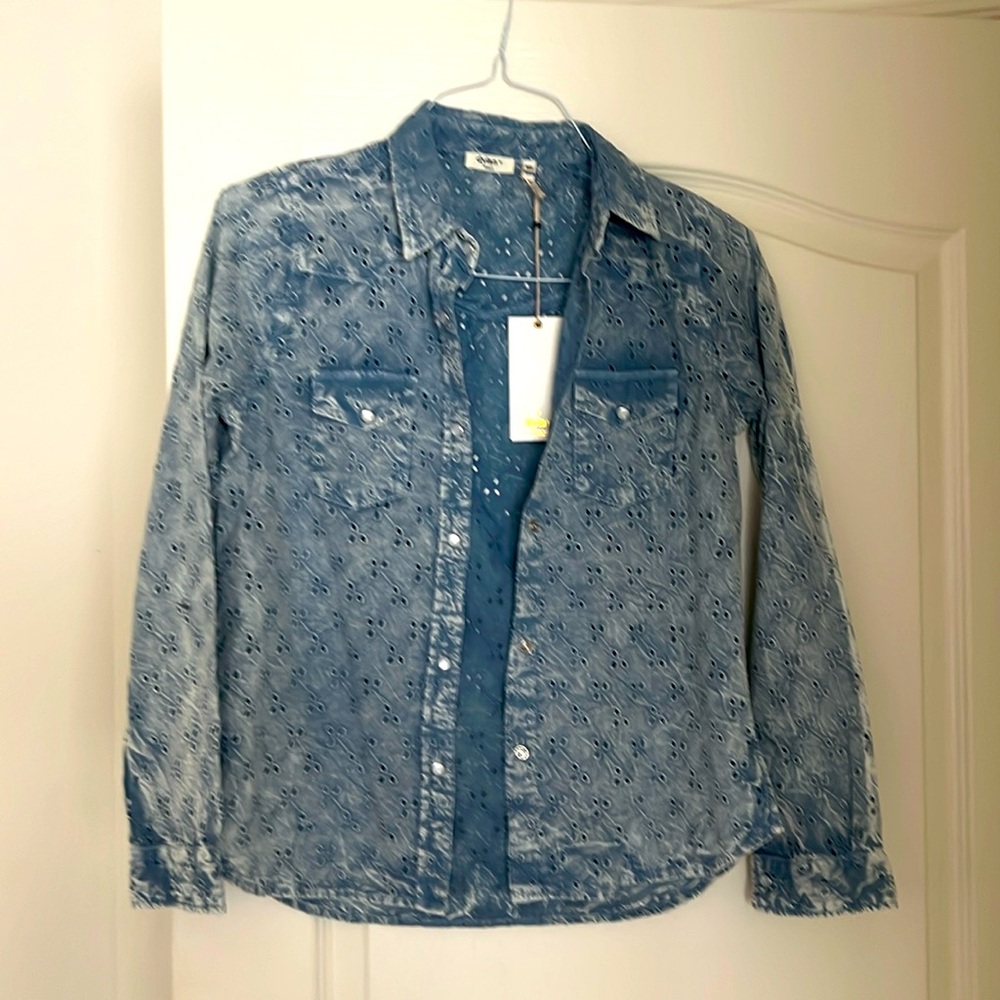 Brand new Dylan blue button down.